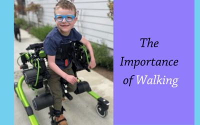 The Importance of Walking